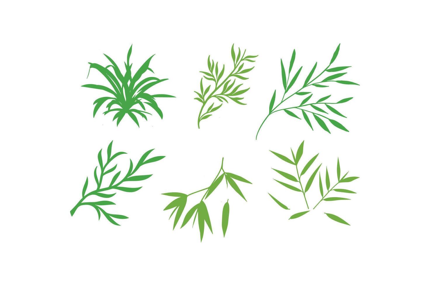 Green Leafy Branches - Botanical Illustrations. vector