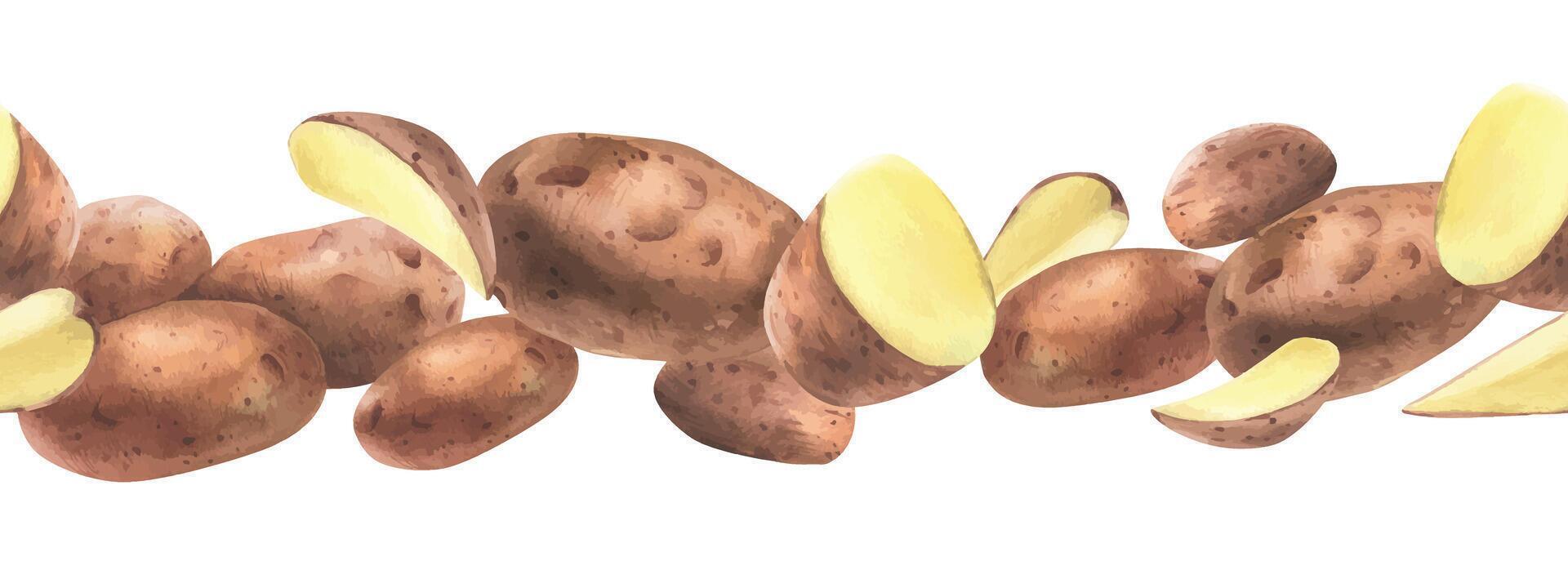 Red potatoes whole, half, cut, peeled and wedges. Watercolor hand drawn illustration on the theme of harvesting, cooking, food, vegetable shop design. Seamless border pattern vector
