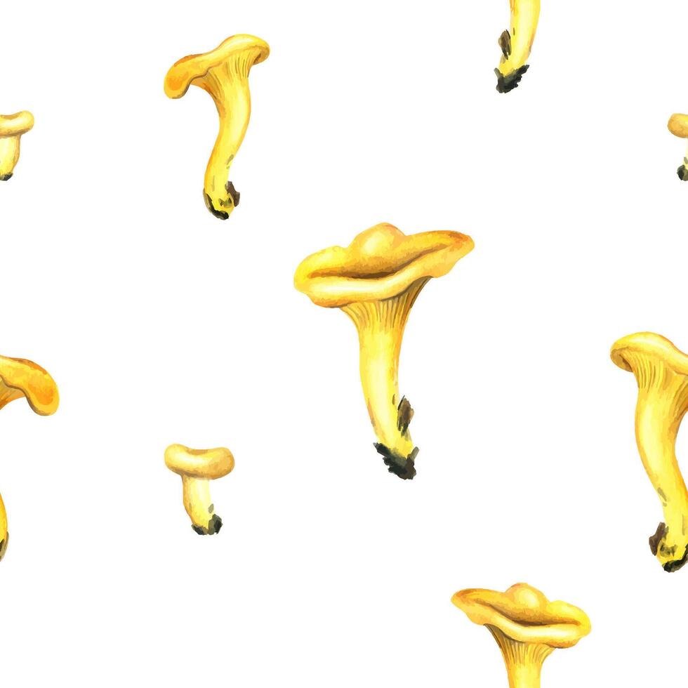 Mushrooms forest edible chanterelles orange. Watercolor illustration, hand drawn. Seamless pattern on a white background. vector