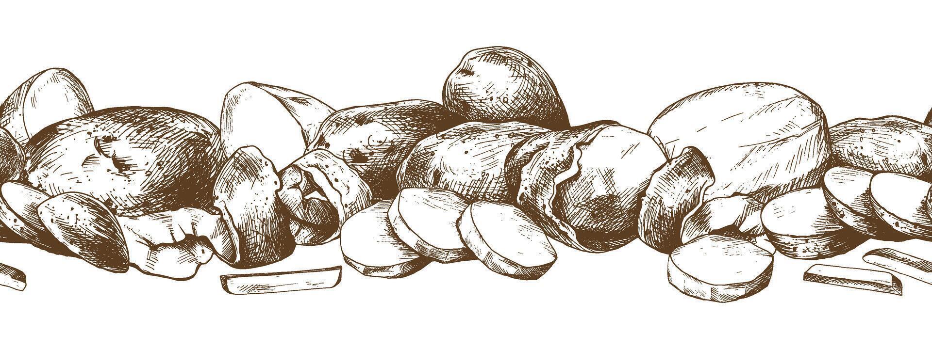 Potatoes whole, half, cut, peeled and wedges seamless border. Graphic illustration hand drawn in brown ink. EPS on the theme of harvest cooking, food, packaging, vegetable shop design vector