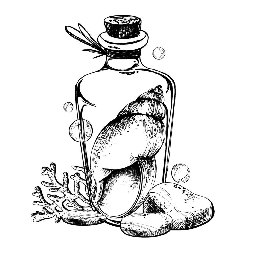 Seashell spiral corals inside glass bottle jar with cork sea pebbles and water bubbles. Hand drawn graphic illustration in black and white color line art. Sublimation arrangement on a marine theme vector