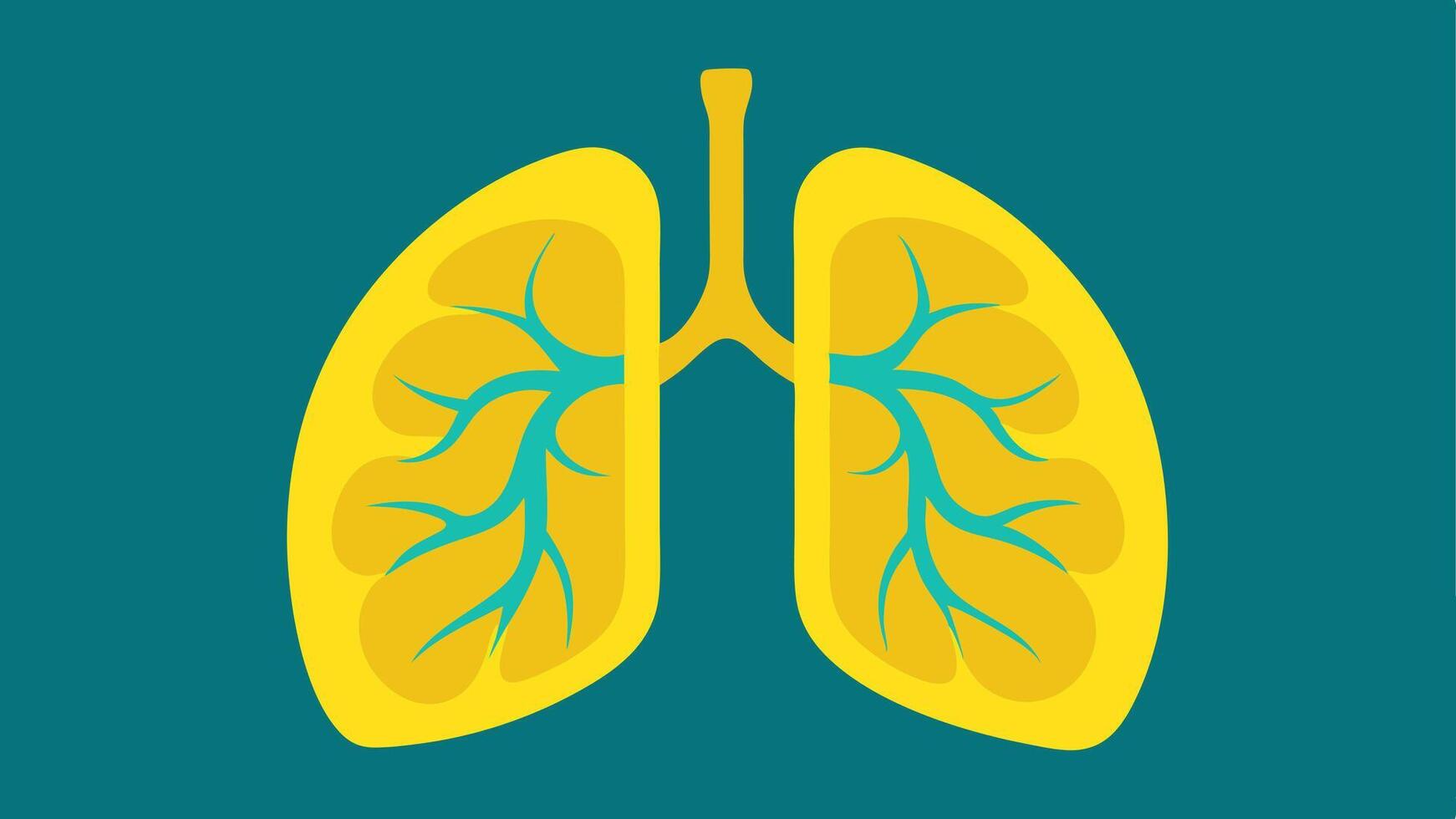 Lung Health Scan A detailed MRI segment showing the lungs with airways highlighted in yellow to indicate healthy function and capacity for longevity through respiratory health.. vector