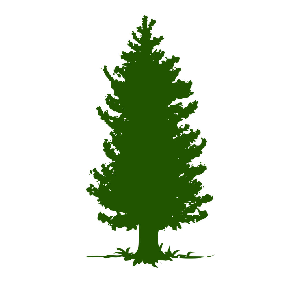 a green tree on a transparent background png