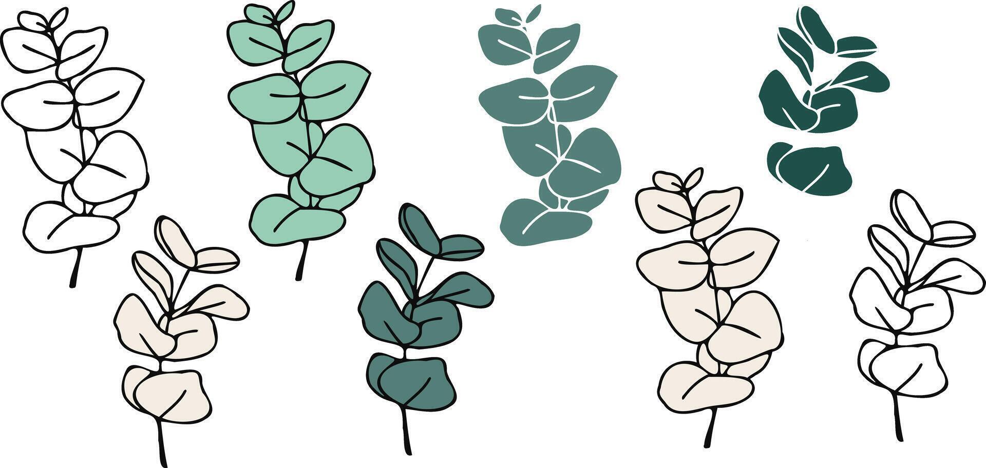 A simple hand drawn illustration of eucalyptus leaves. minimalist design is perfect for botanical themed projects, line art, nature-inspired decorations, modern graphic designs. vector