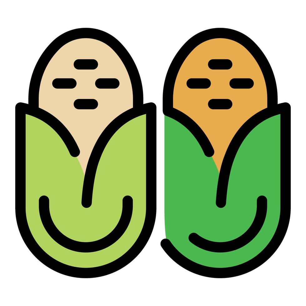 Simple drawing of two corn cobs with green leaves vector