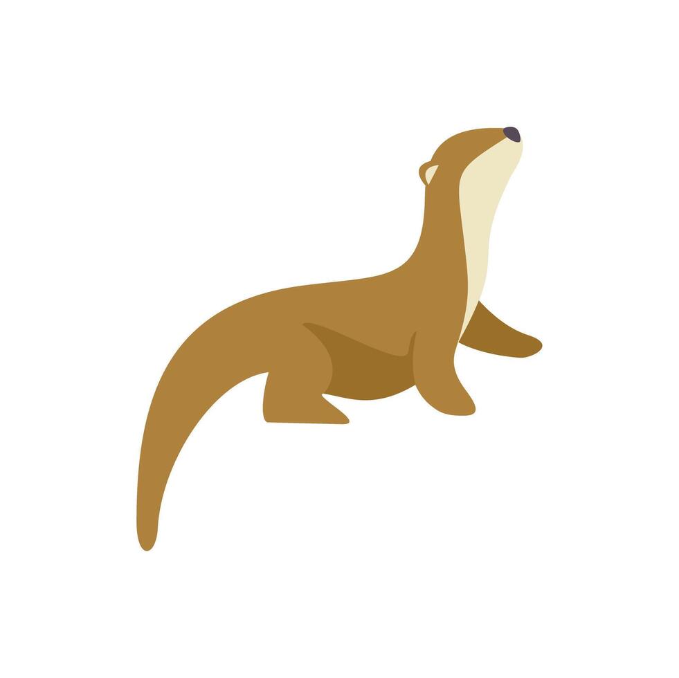 Cute otter looking up raising head watching observing vector