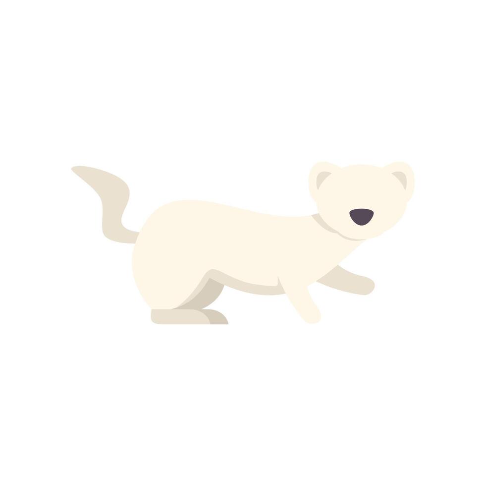 Cute ermine walking with its tail up in flat design vector
