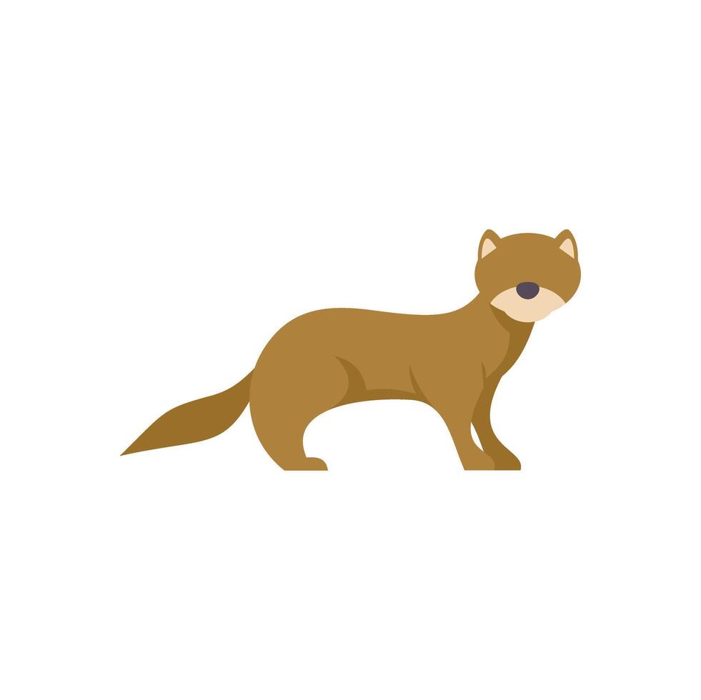 Weasel standing watching curious animal brown mammal vector