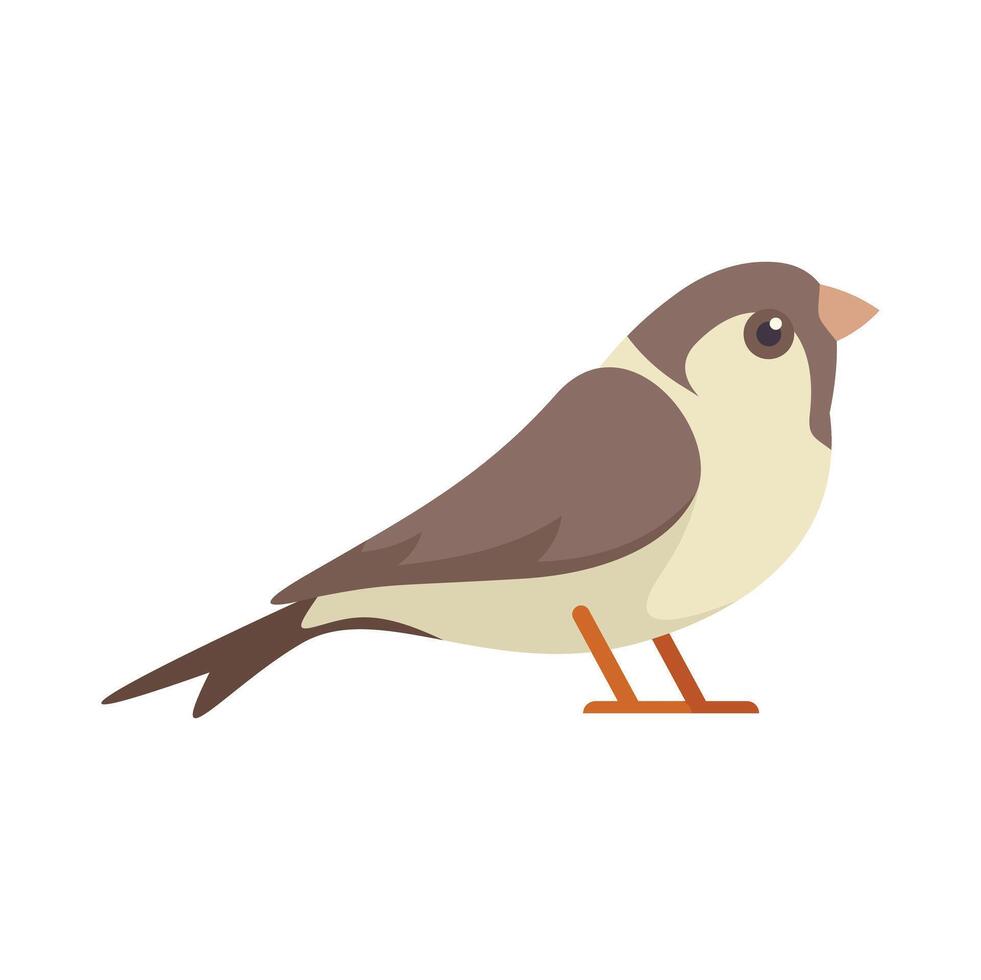 Small bird standing on ground looking right side vector