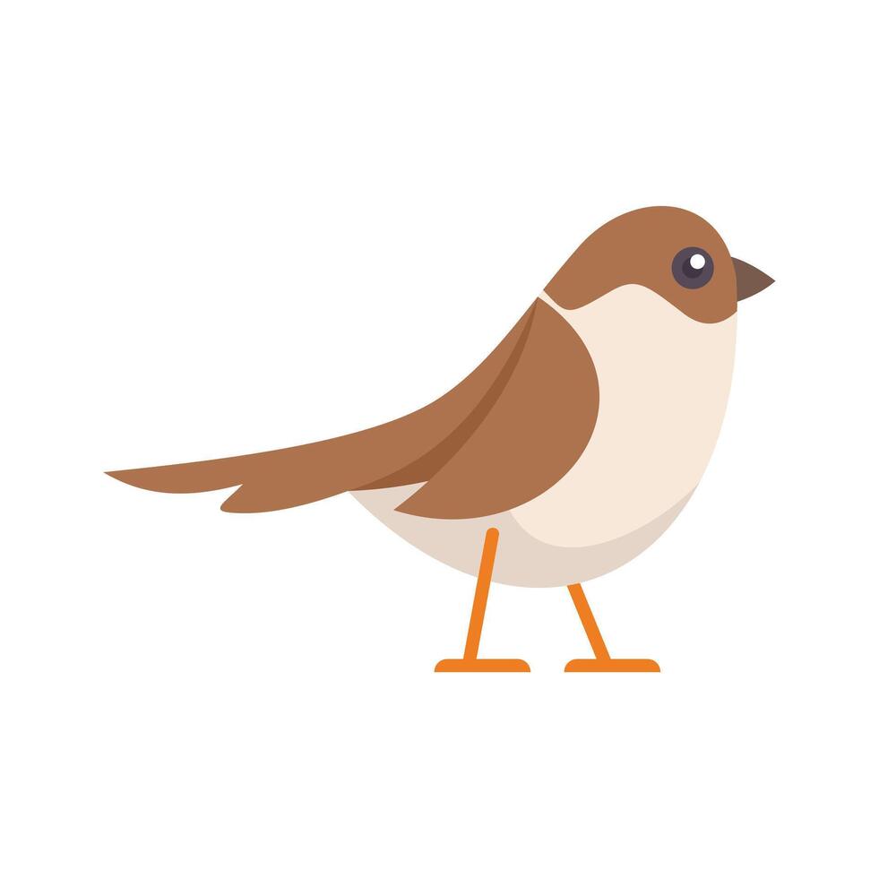 Cute sparrow bird standing on tiny orange legs vector