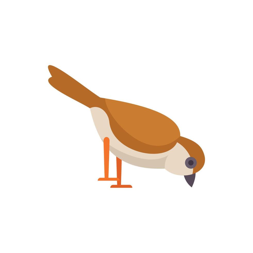 Sparrow bird pecking looking for food on the ground vector
