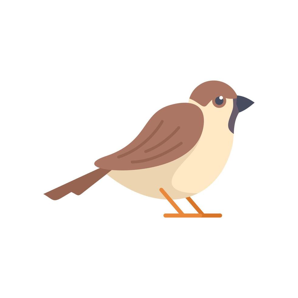 Small brown bird standing on tiny orange legs vector