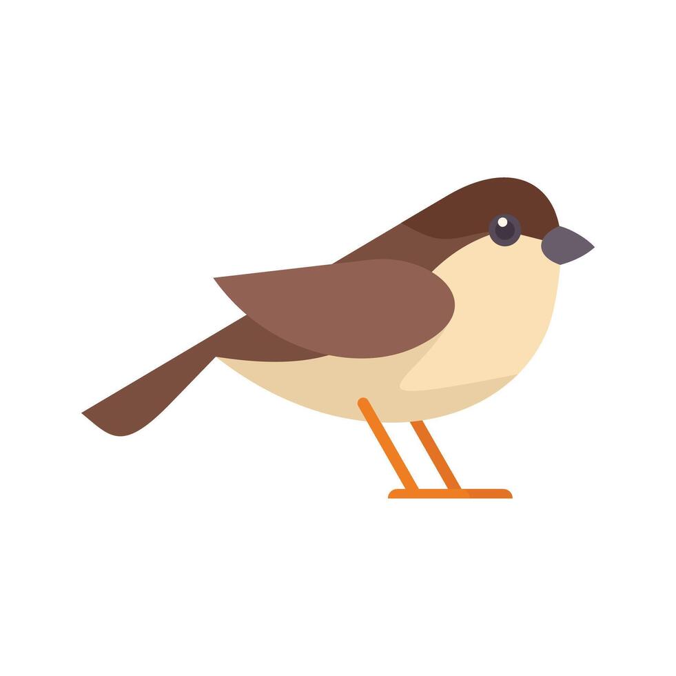 Small brown and beige bird standing side view vector