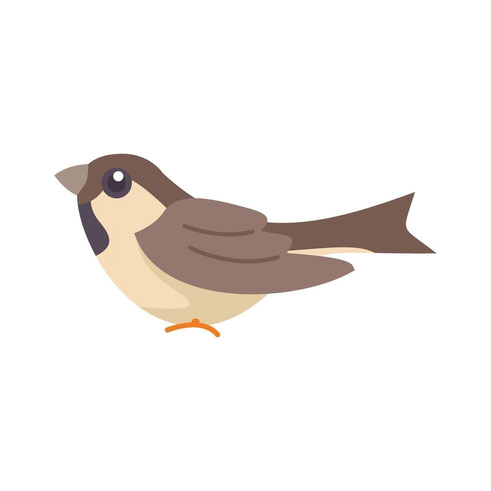 Small cartoon sparrow is standing and looking to its left vector