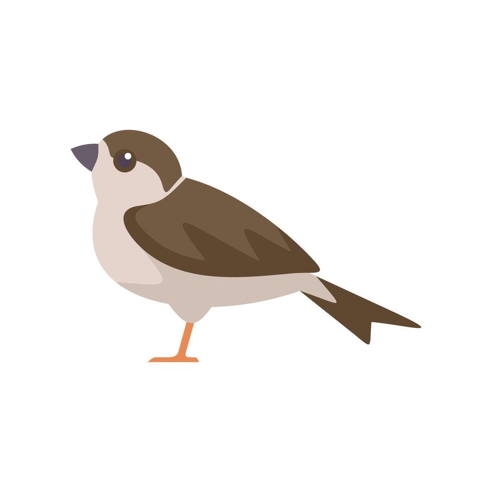 Common house sparrow bird standing minimalist illustration vector