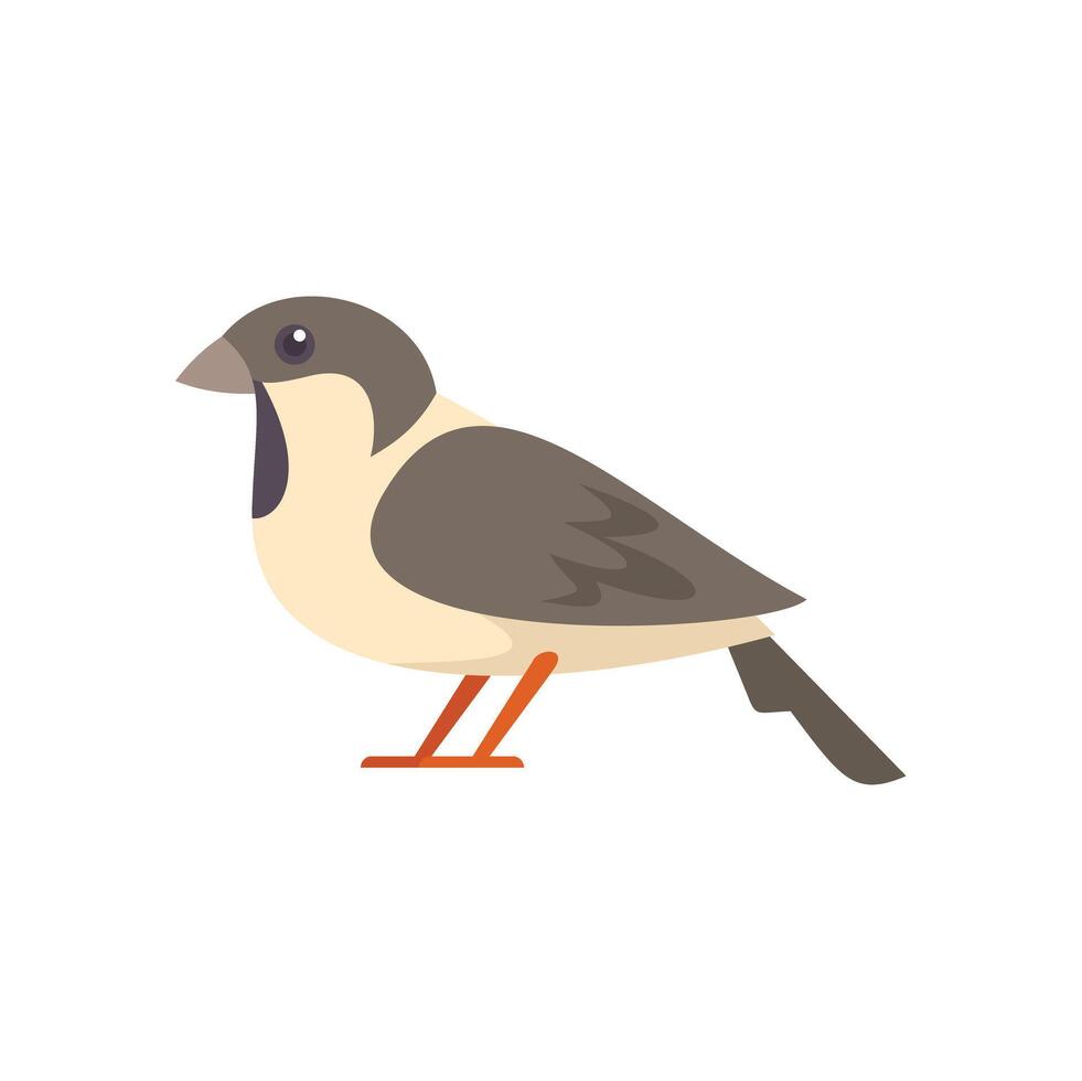 Small brown and beige bird standing side view cartoon bird illustration vector