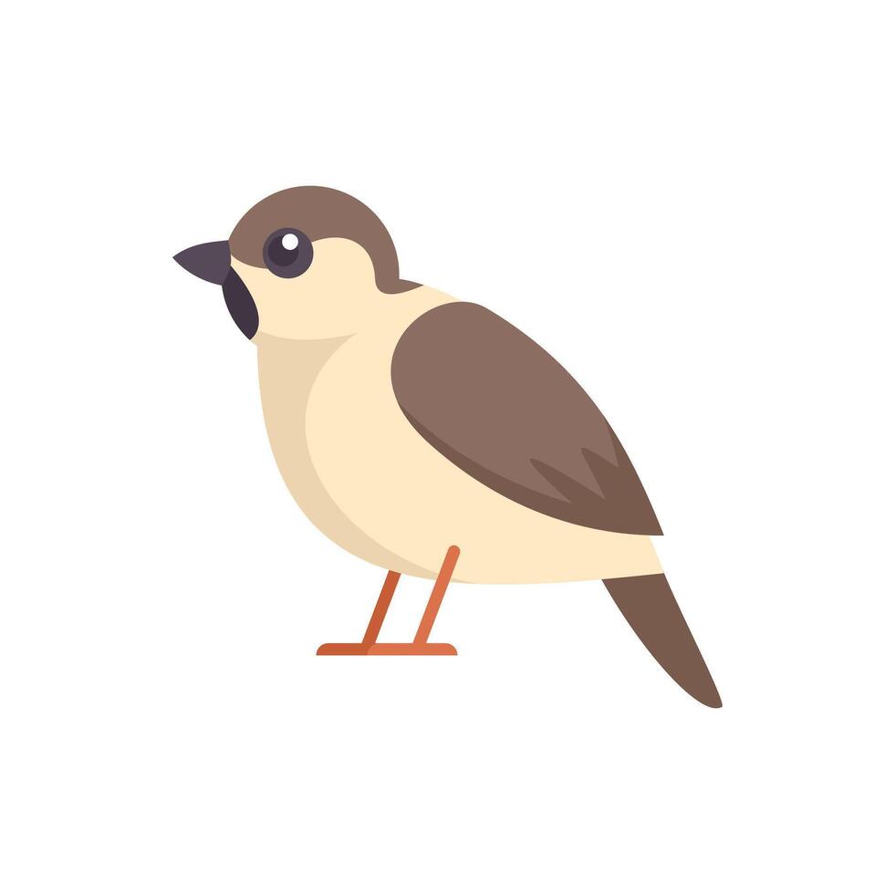 Small brown and beige bird standing side view cartoon bird illustration vector
