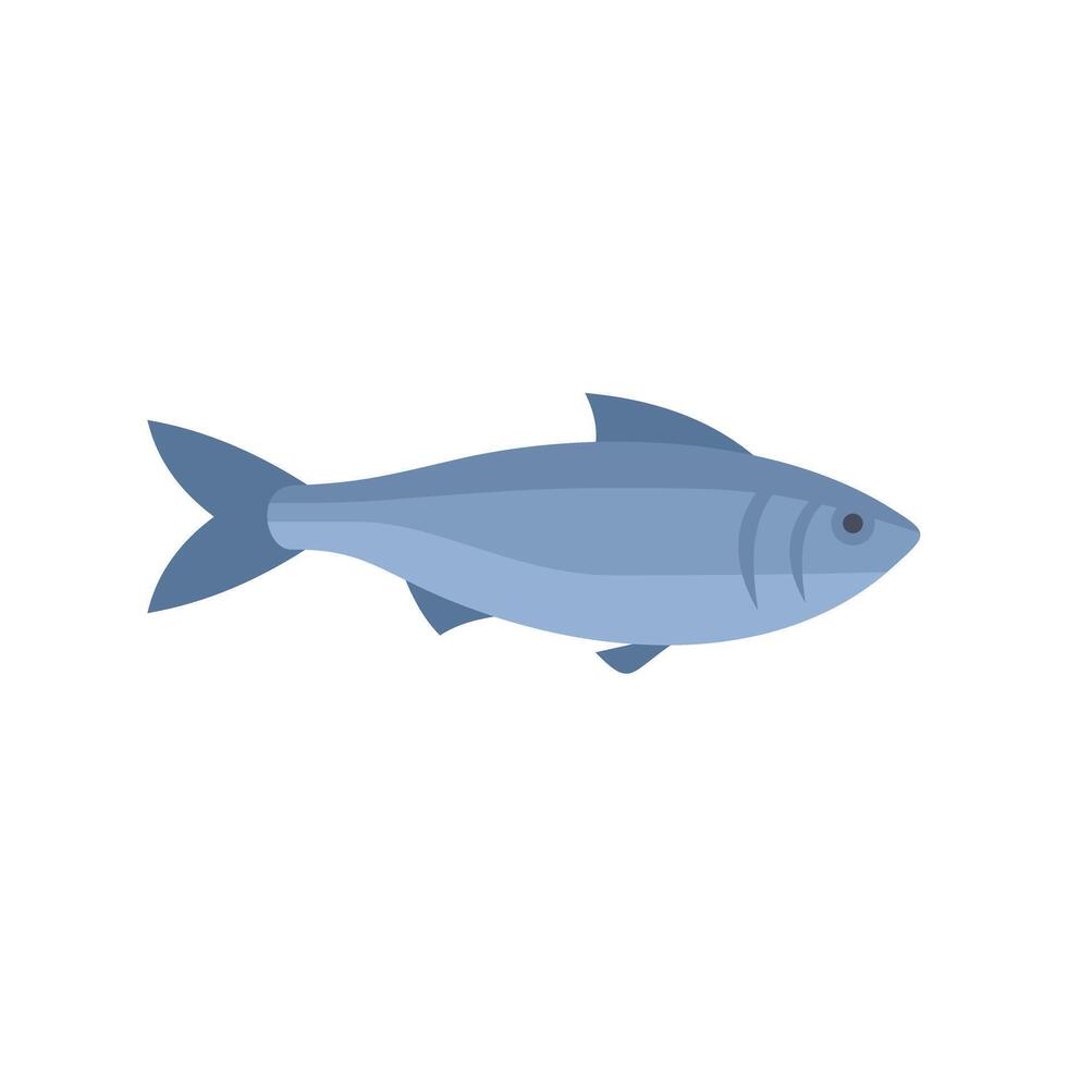 Atlantic herring fish swimming side view cartoon illustration vector