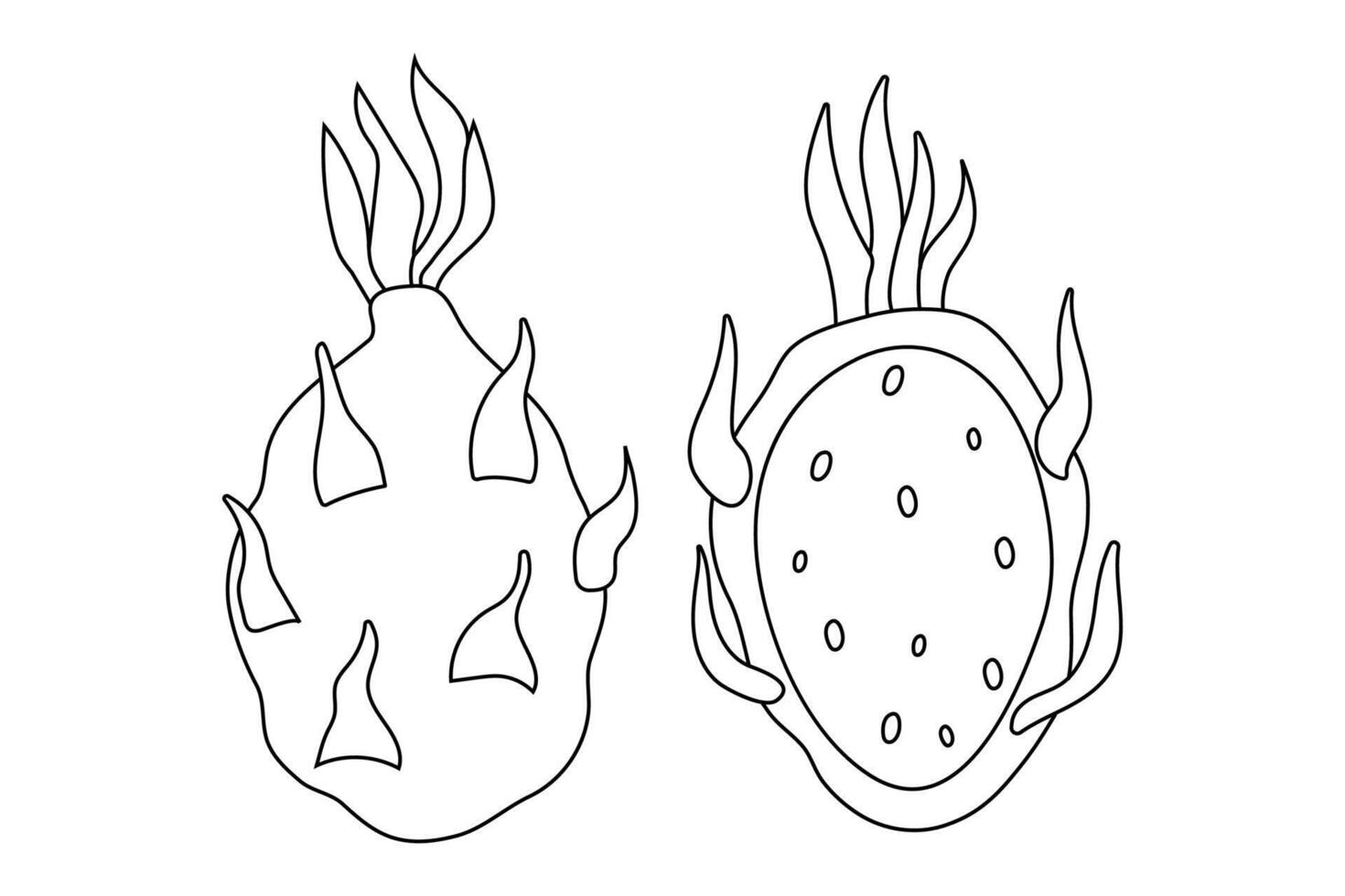Unique line drawings of two distinct sea creatures showcasing different shapes and features vector