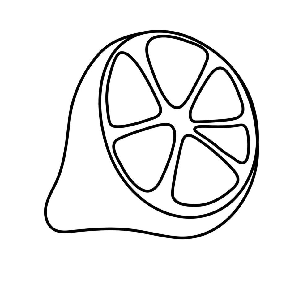A detailed sketch of a fresh citrus fruit highlighting its vibrant segments and texture vector