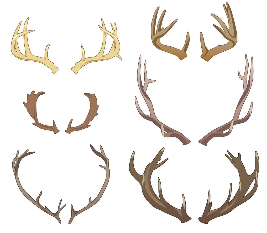 Set of six pairs of colored antlers, not symmetrical vector