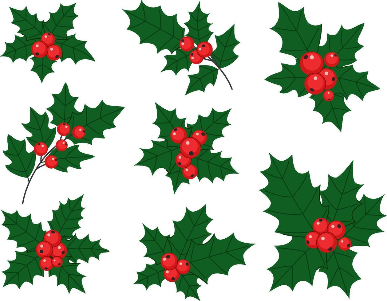 Christmas holly sprigs set with berries and leaves. vector