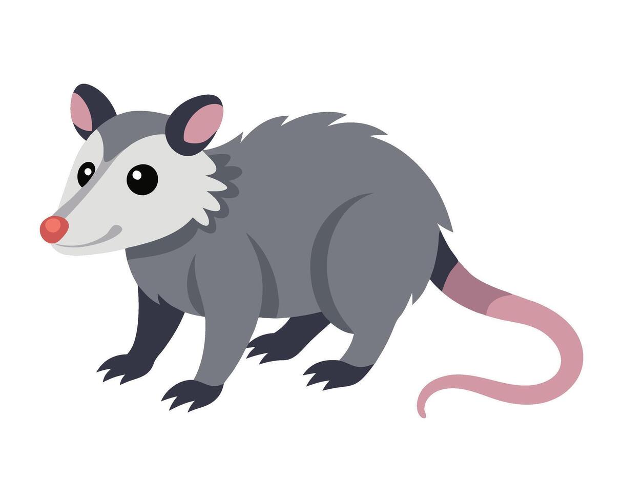 opossum animal flat style isolated on white background. illustration vector