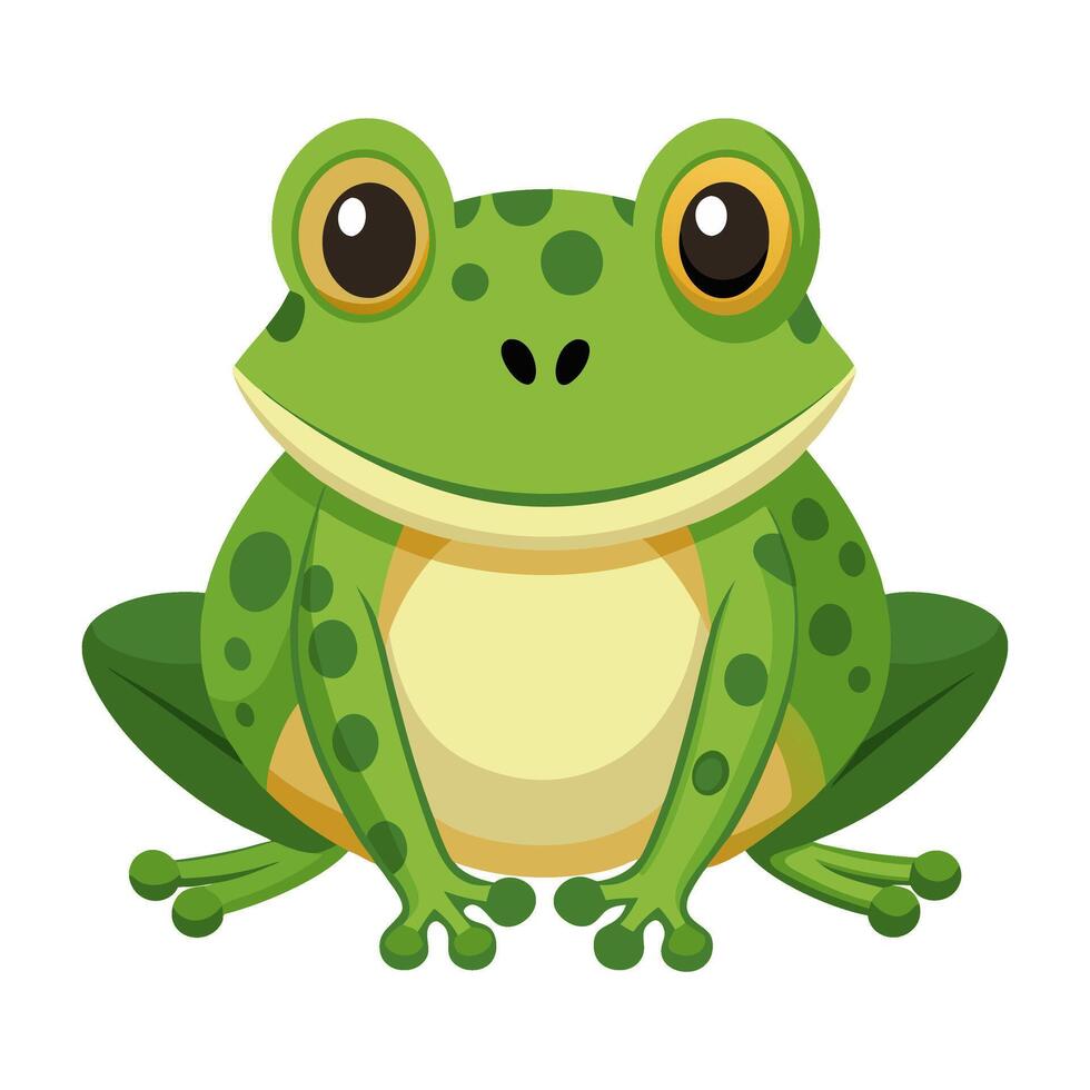 frog flat style isolated on white background. illustration vector