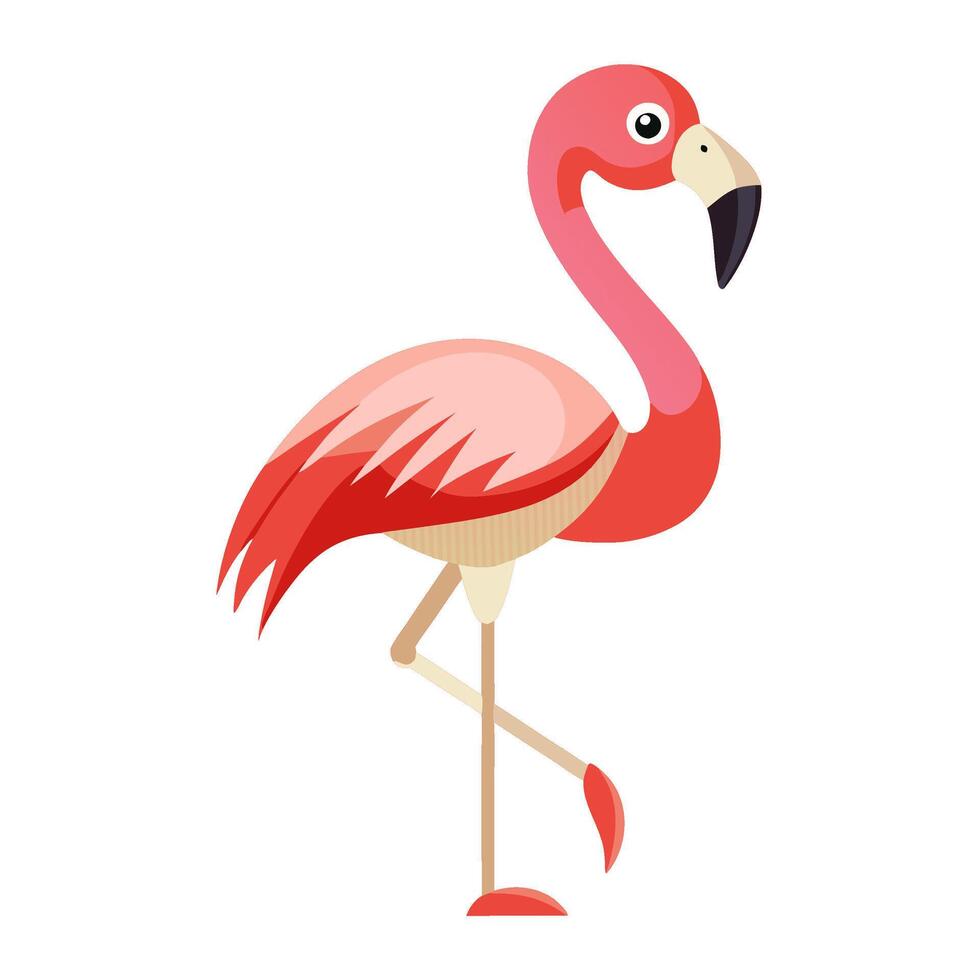 flamingo bird flat style isolated on white background. illustration vector