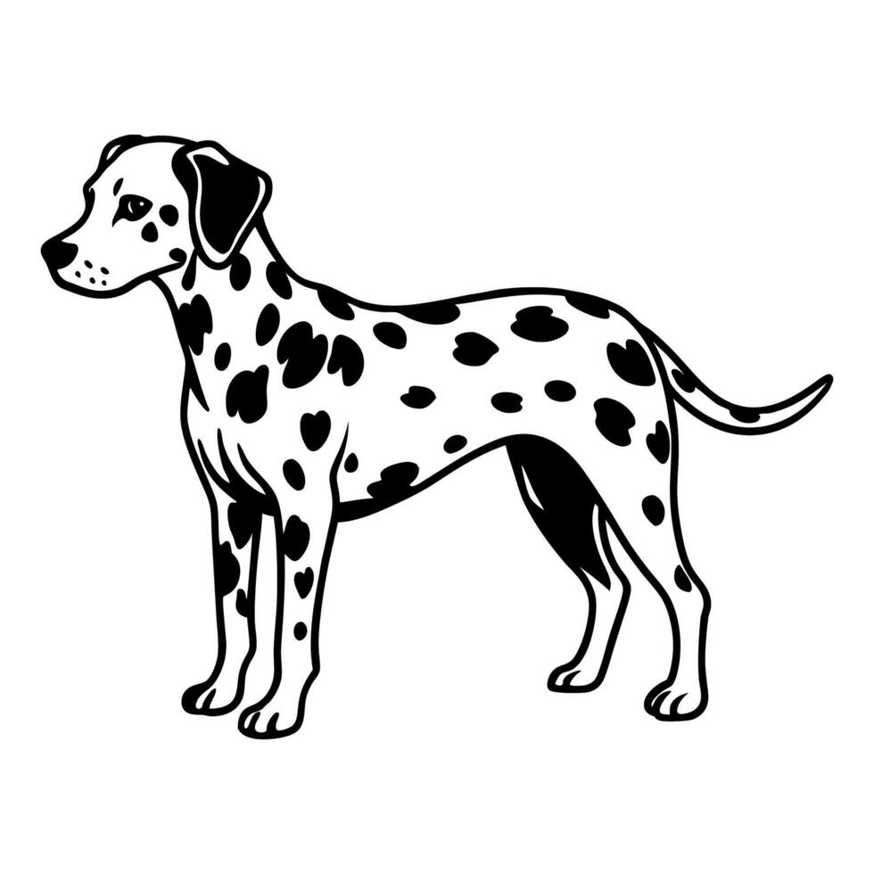 dalmatian dog full body icon. Black and white logo, dog silhouette, engraving style. Pet character. illustration vector