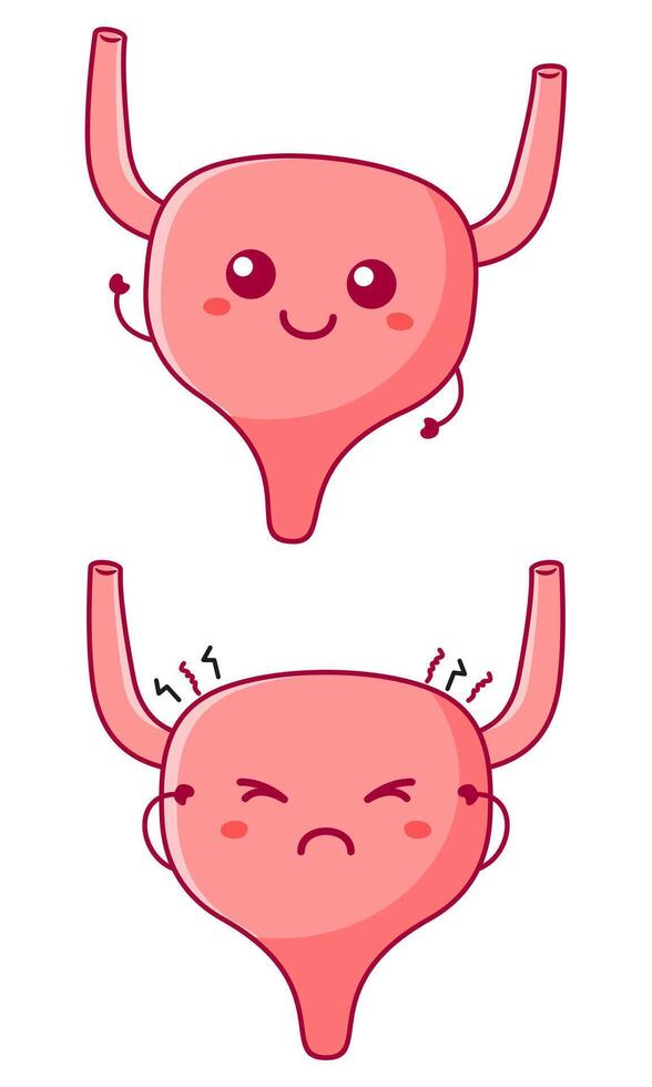 Cute sad and smiling happy bladder organ human. modern cartoon character illustration icon design vector