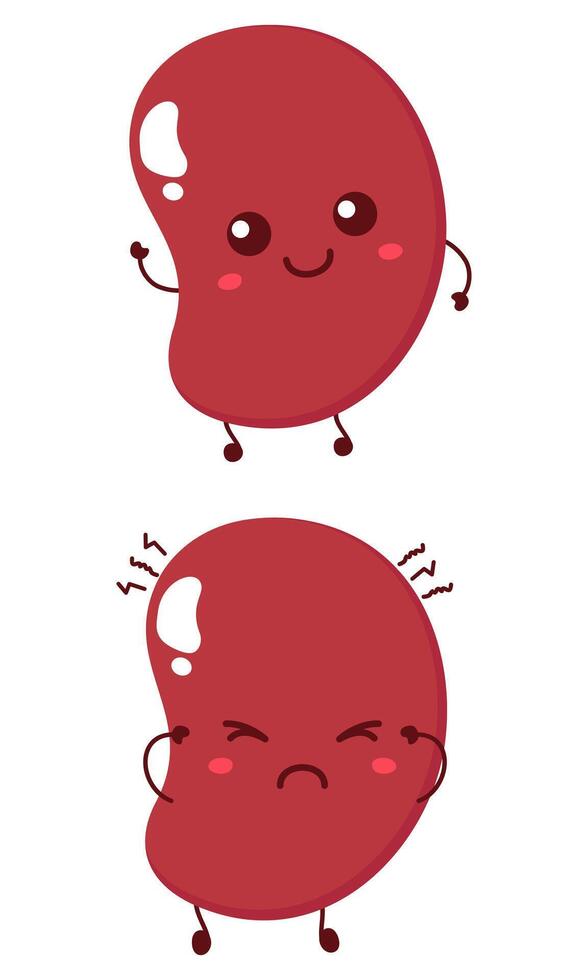 Cute sad and smiling happy human spleen organ. modern cartoon character illustration icon design vector