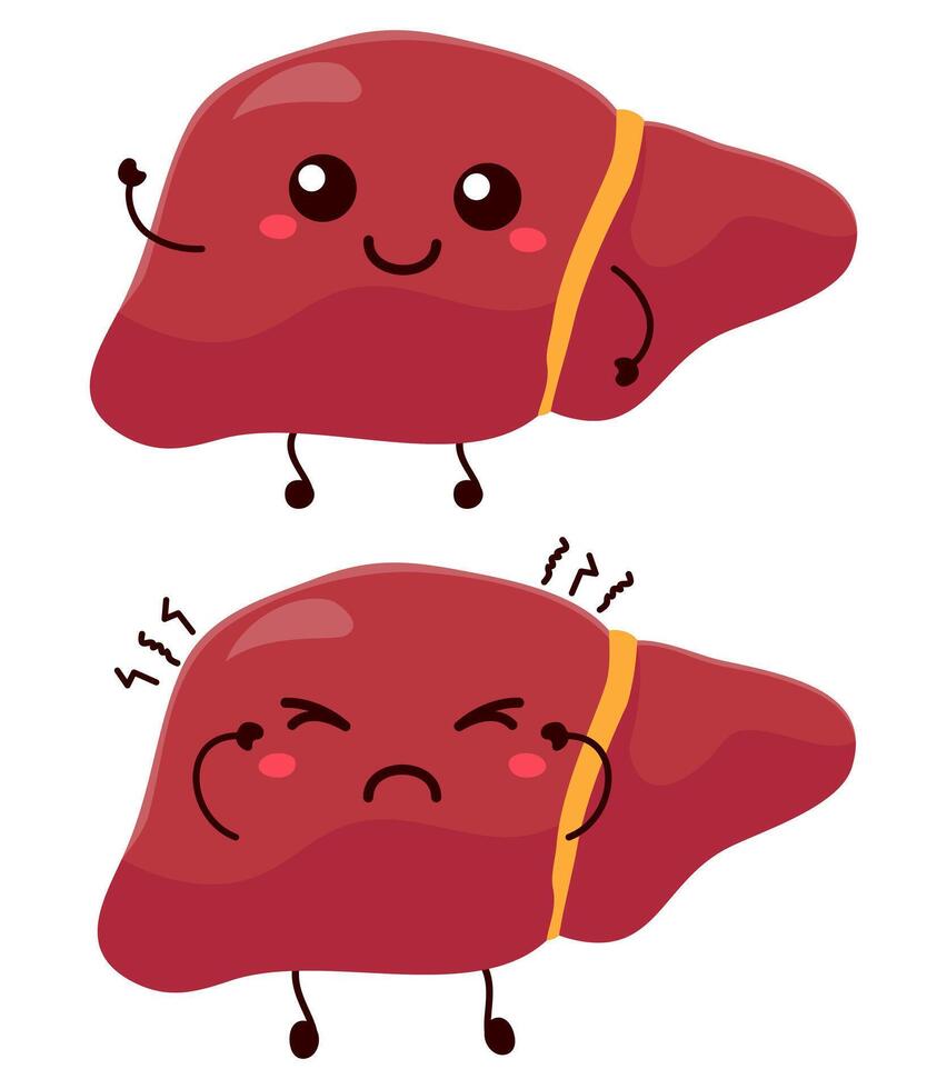 Cute sad and smiling happy liver organ human. modern cartoon character illustration icon design vector