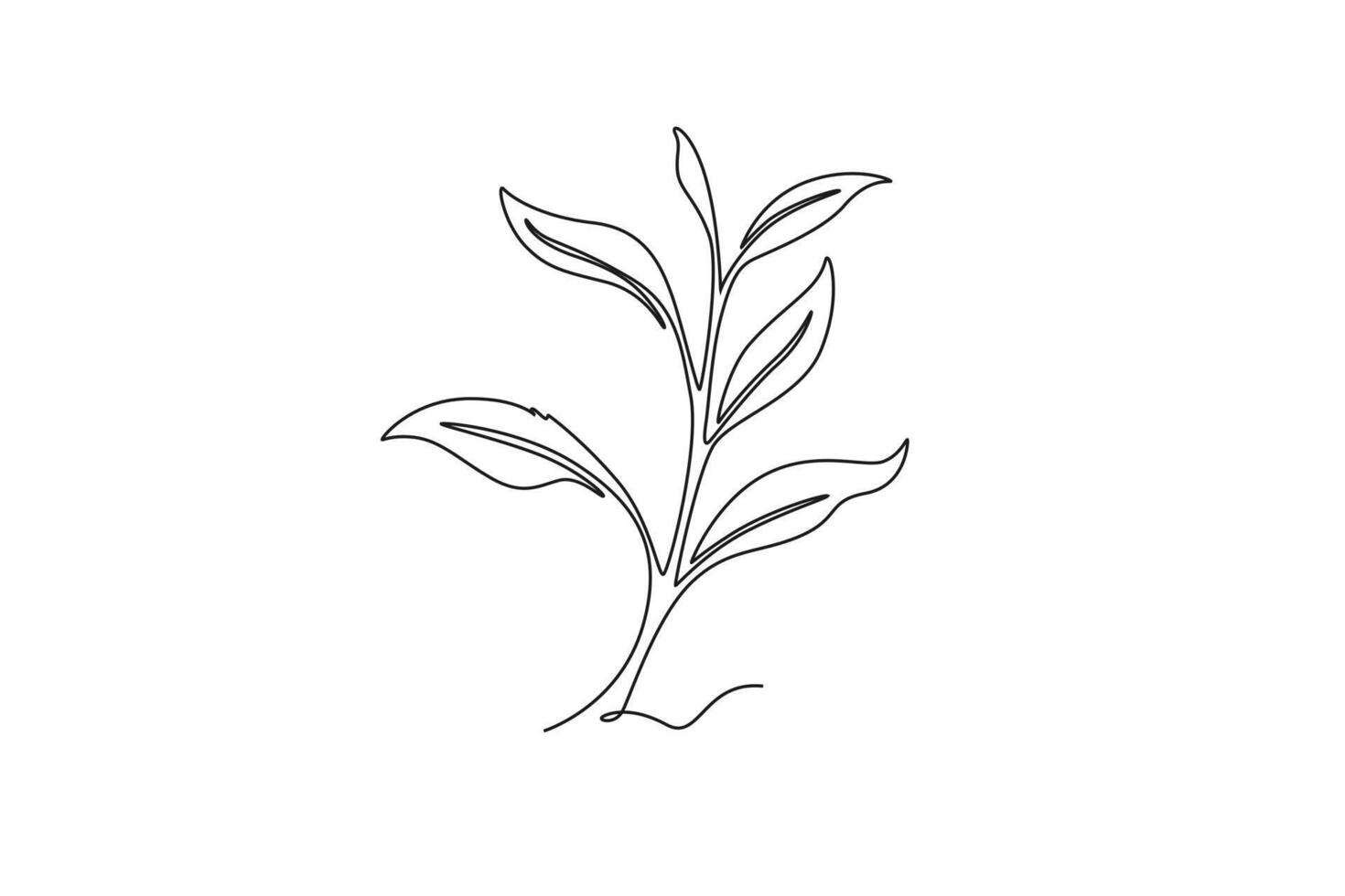 Single one line drawing freshness tropical tea leaves plant. Printable poster decorative houseplant concept for home wall decor ornament. Modern continuous line draw design graphic illustration vector