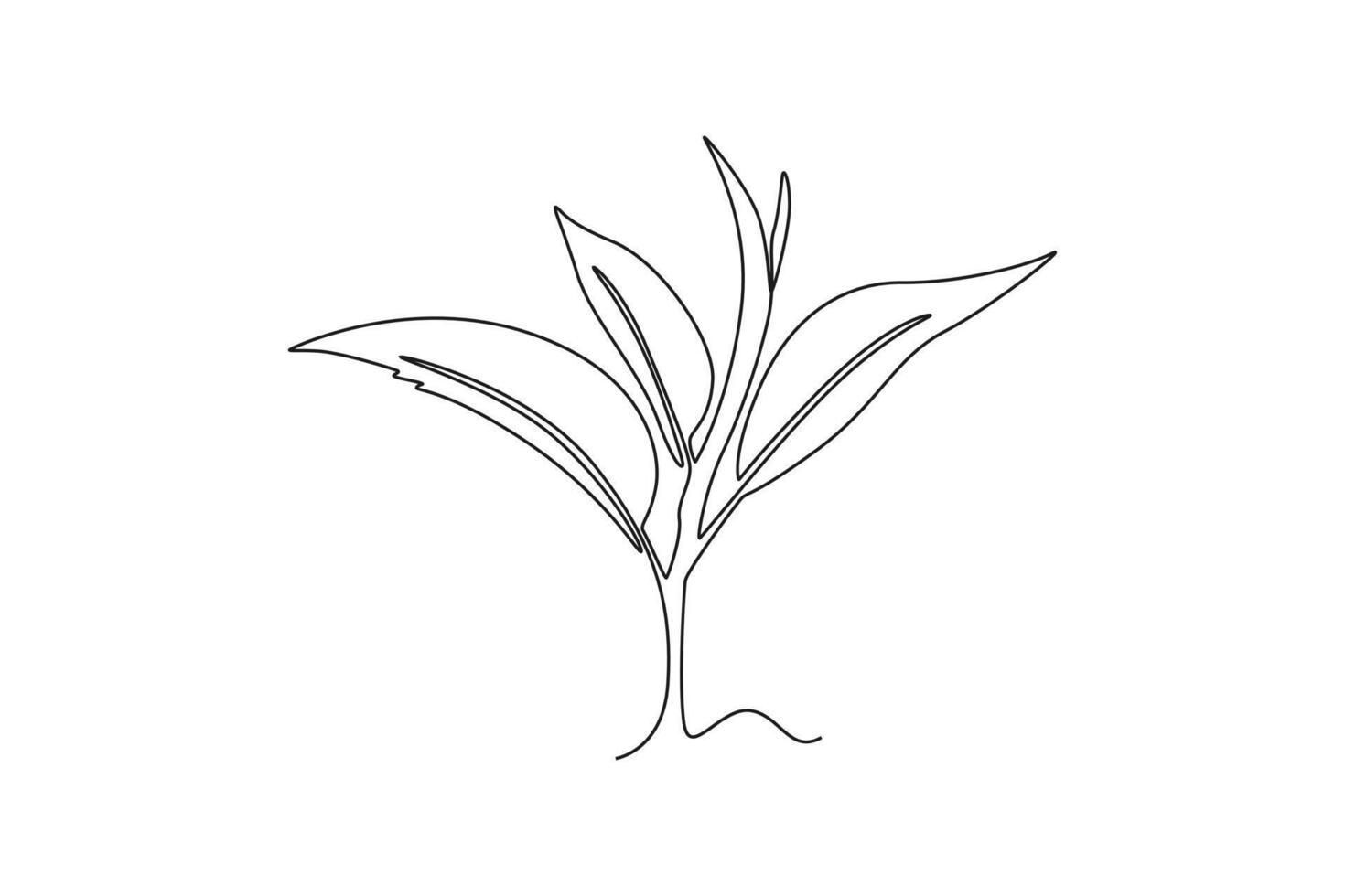 Single one line drawing of whole healthy organic tea leaf for herbal drink logo identity. Fresh nature concept for tea plantation icon. Modern continuous line draw design graphic illustration vector