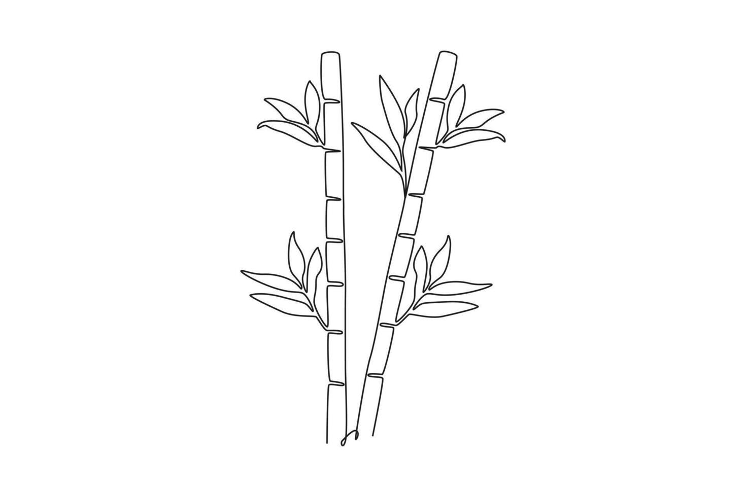 Continuous one line drawing bamboo trees for plantation decoration logo identity. Fresh evergreen perennial flowering plant concept for plant icon. Single line draw design graphic illustration vector