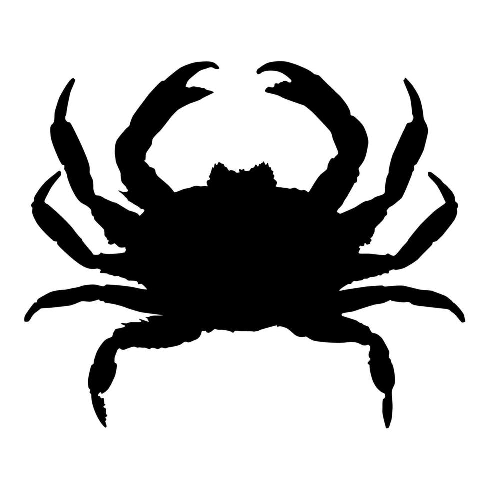 Sea crab isolated black silhouette. Side view. Marine animal. White background. vector