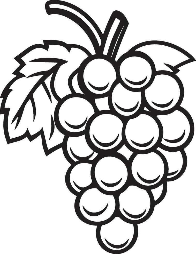 grapes coloring pages vector