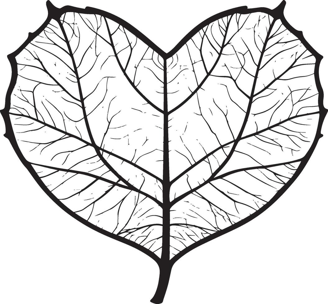 a black and white drawing of a leaf in the shape of a heart vector