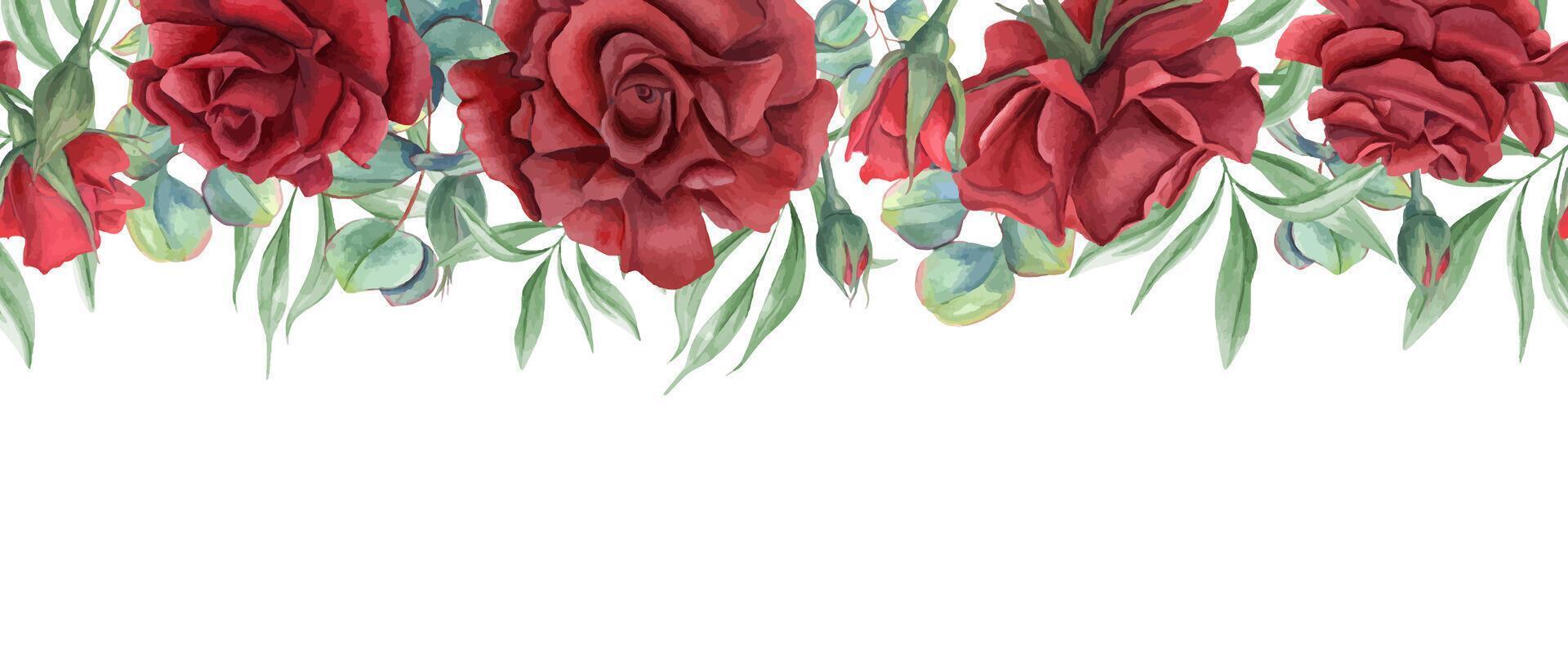 Red rose flowers and eucalyptus leaves horizontal watercolor seamless banner. Summer garden blooming deep ruby plants with greenery illustration. Copy space for text. For textile, greeting cards vector
