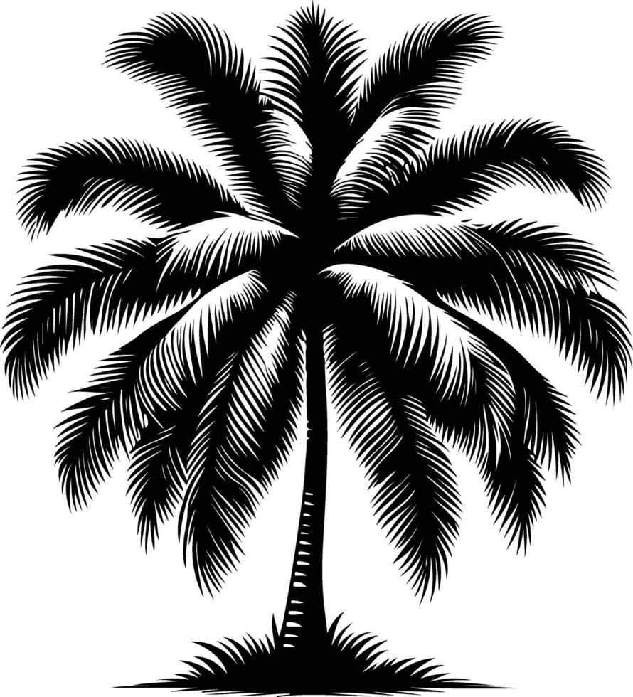 Palm silhouette, illustration black color vector