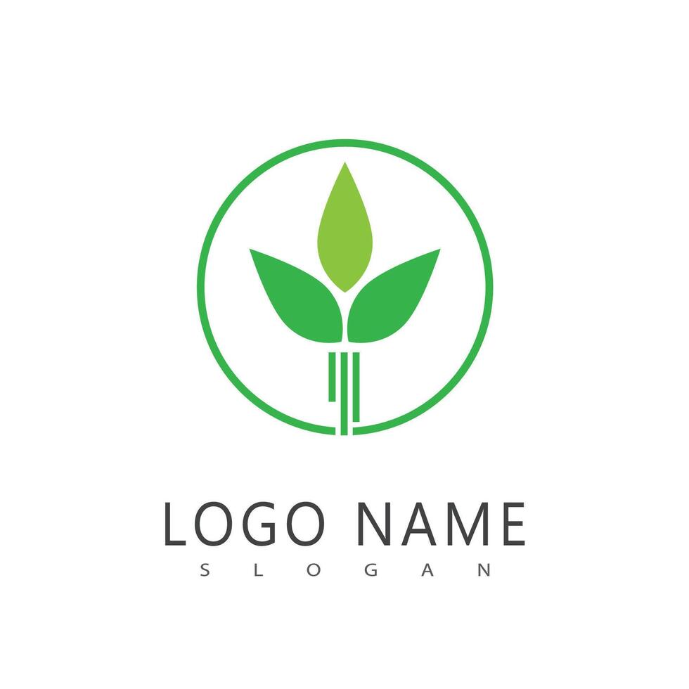 Green leaf logo element symbol template vector