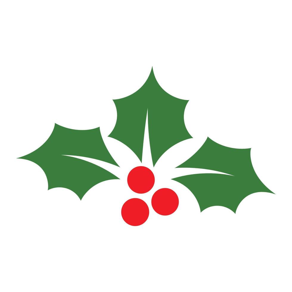 Holly berry icon Christmas mistletoe graphic design template Xmas symbol vector