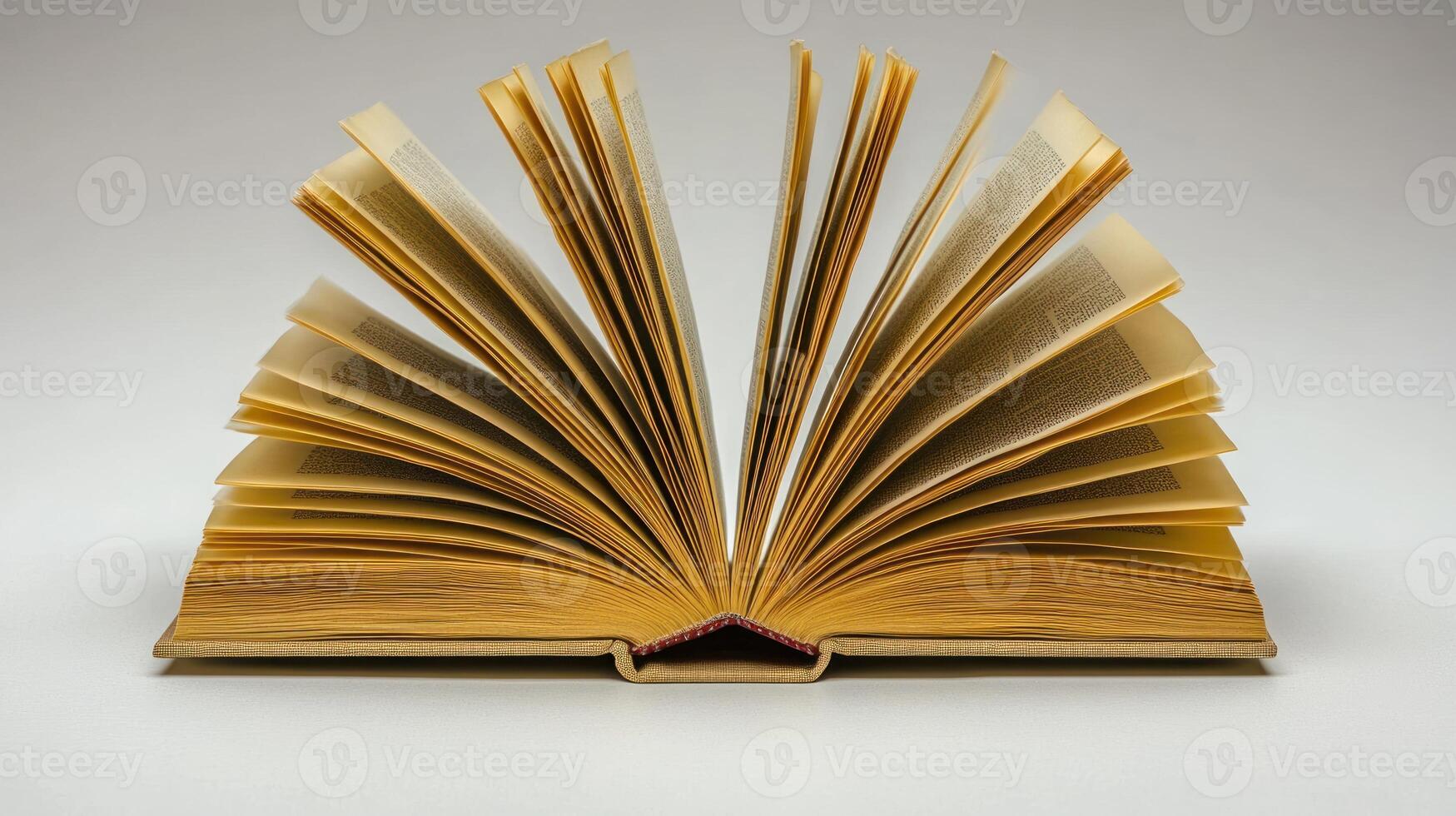 The book's pages fan out gracefully, showcasing treasured stories within photo