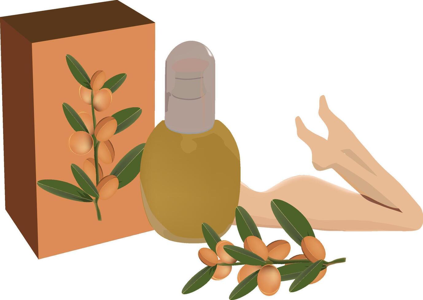 Olive oil and a woman's legs vector