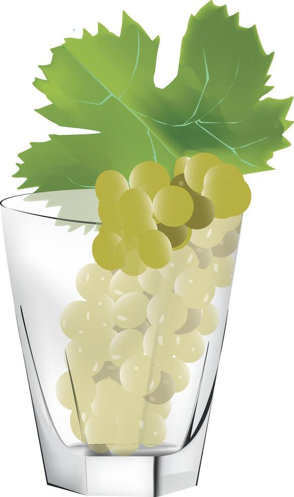 Grapes in a glass vector