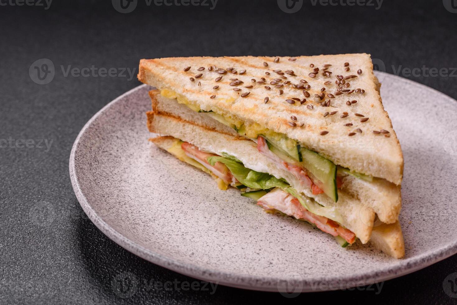 Sandwich with toast bread, meat, tomatoes, cheese, sauce, salt and spices photo
