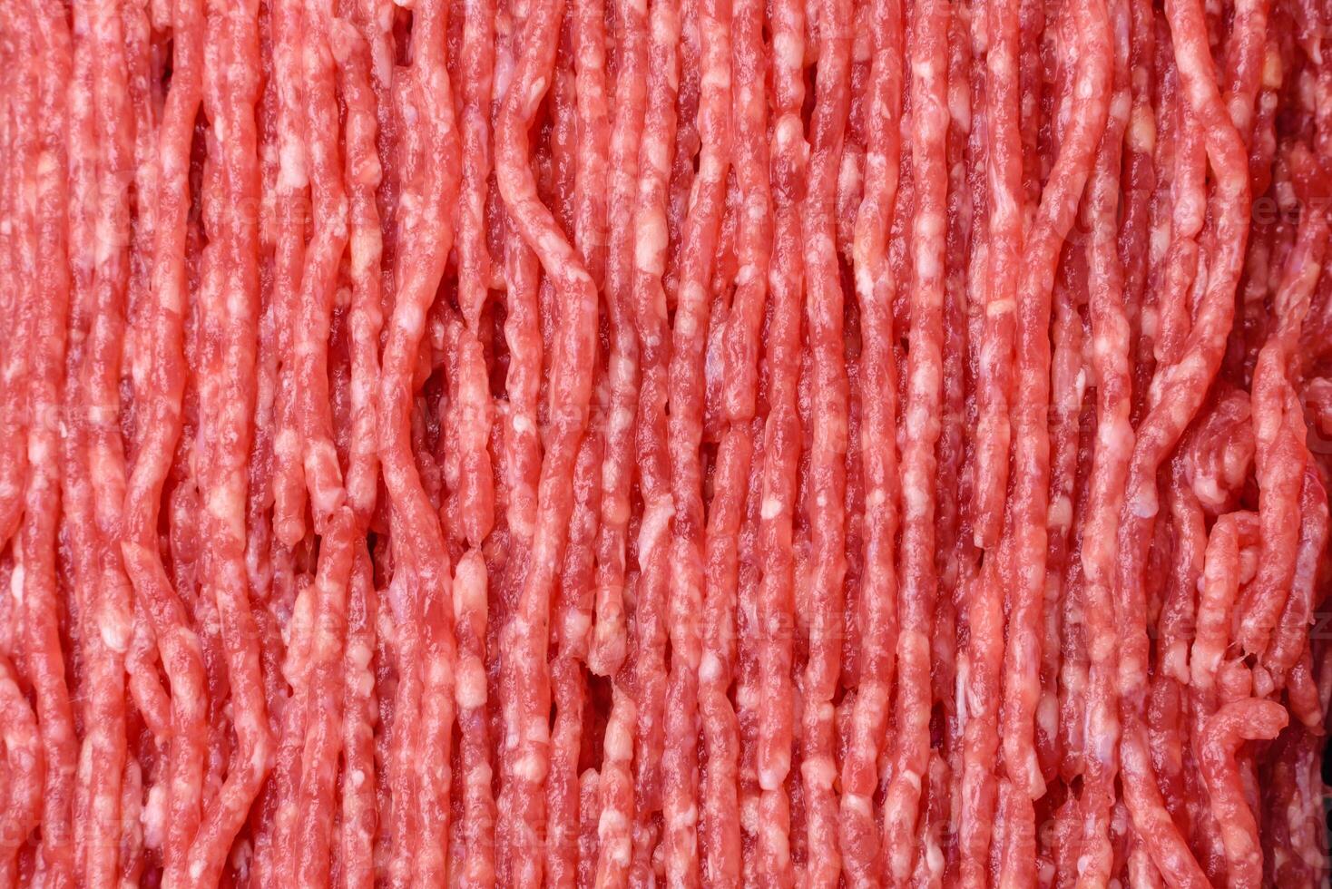 Fresh raw ground beef with salt, spices and herbs photo