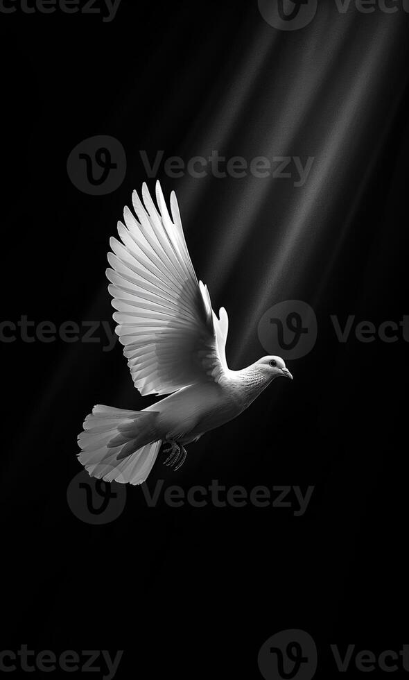 A white bird soaring gracefully in dim light A white bird takes flight, wings fully spread, illuminated by a shaft of light against a dark background. photo