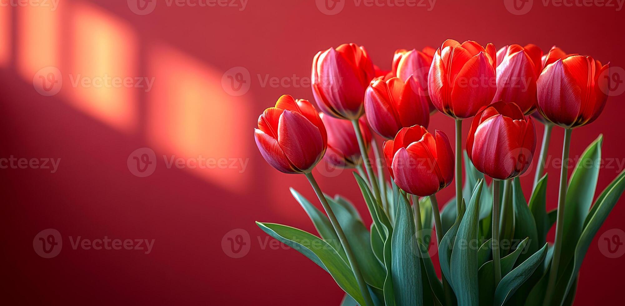 Red tulips in a modern setting with soft lighting. A vibrant bouquet of red tulips stands against a warm, red background, illuminated by soft shadows from nearby light. photo
